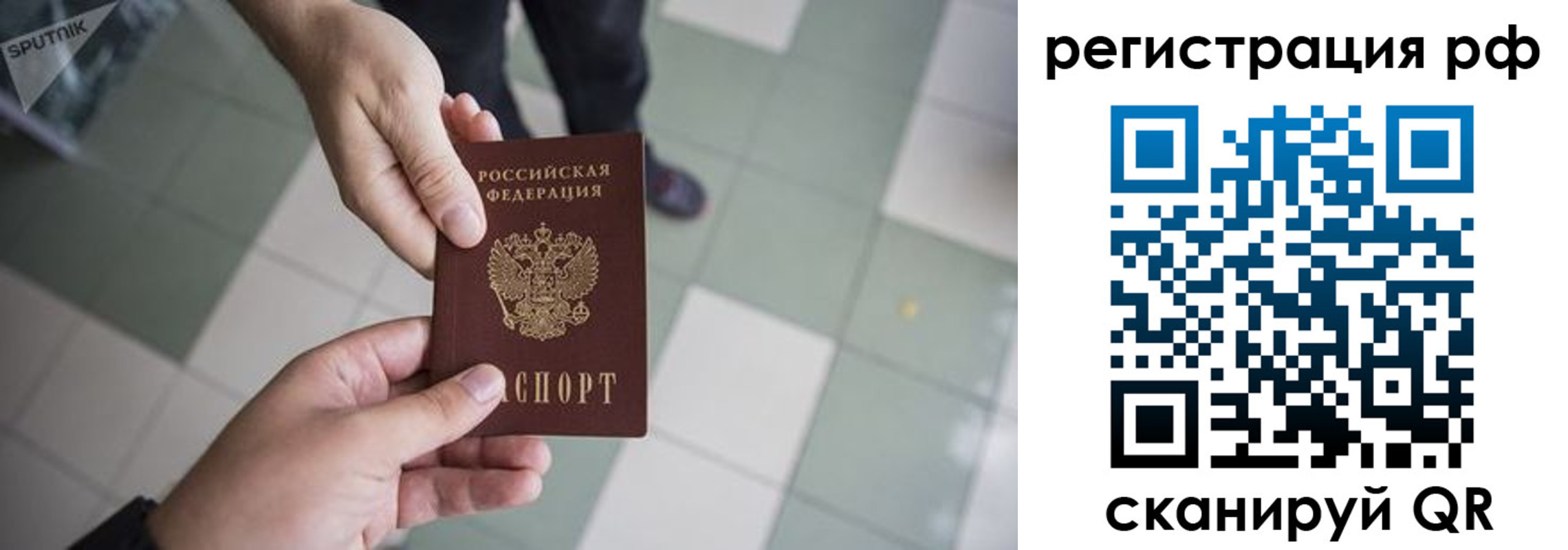прописка гарантия в Октябрьском
